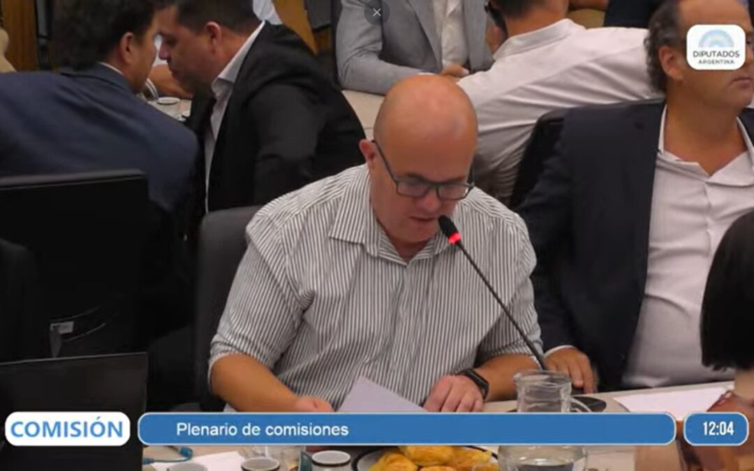 Participación en el Plenario de Comisiones de la Cámara de Diputados